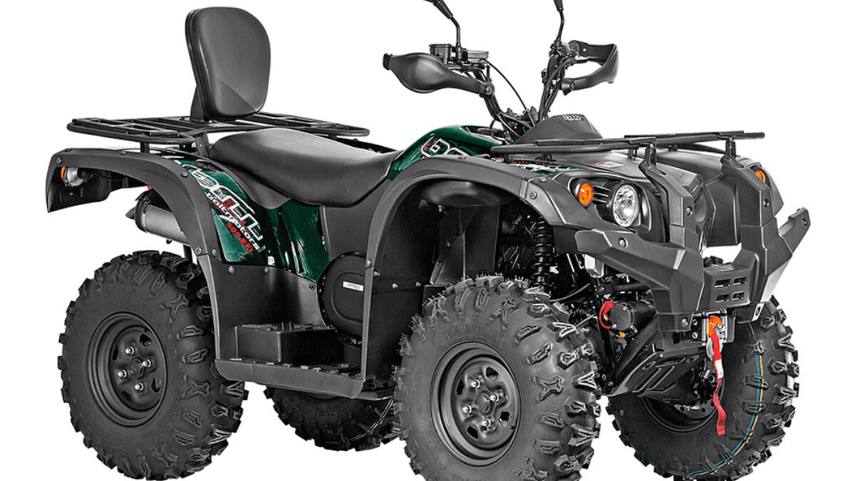  Baltmotors Striker EFI
