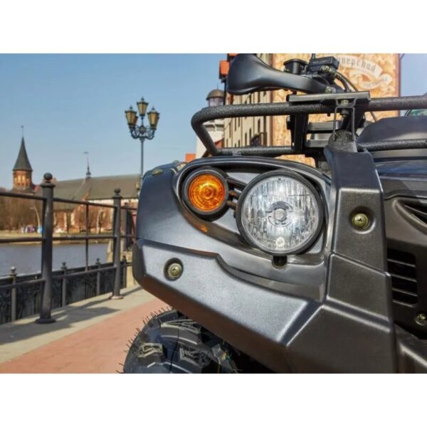  Baltmotors Striker EFI