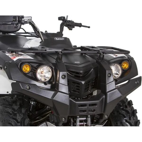  Baltmotors Striker EFI