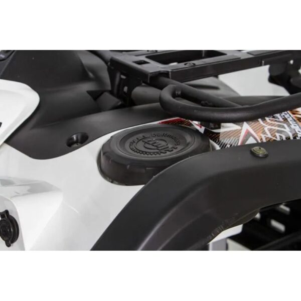  Baltmotors Striker EFI
