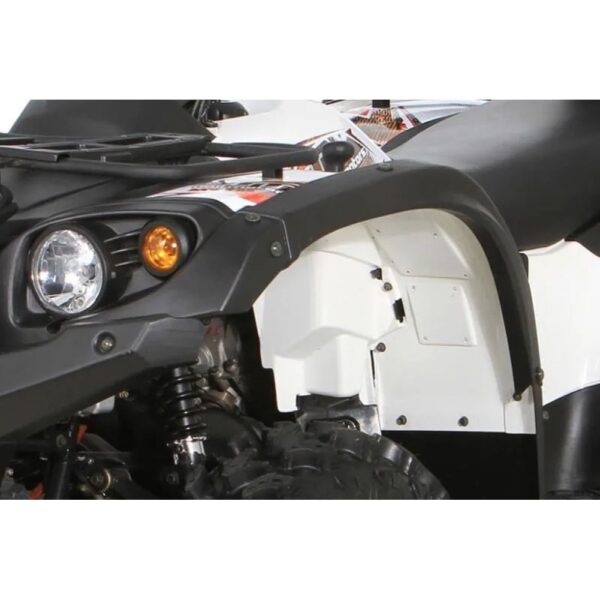  Baltmotors Striker EFI