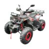 Квадроцикл Motax Grizlik T200